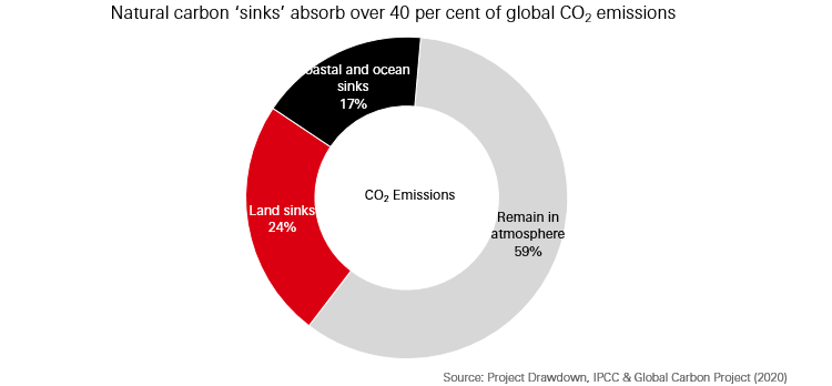 Green bonds and natural capital