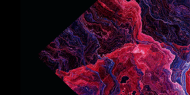 The Vanishing of Old Certainties